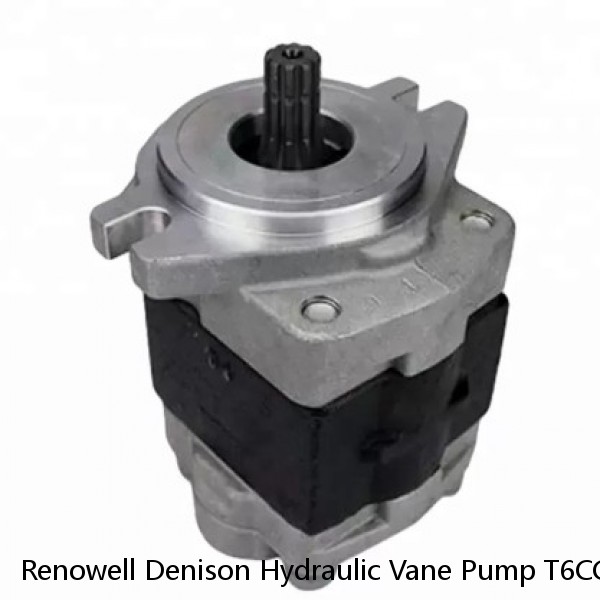 Renowell Denison Hydraulic Vane Pump T6CC T6DC T6EC T6ED For Plastic Machinery