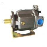 PAKER PV020R1K1T1NMMC Piston Pump